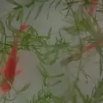 专属俊帅小伙