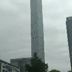 飞翔的花