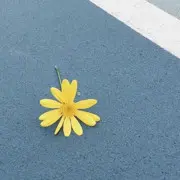无人之岛ღ