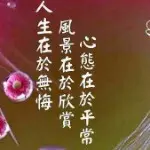 领悟！！！！