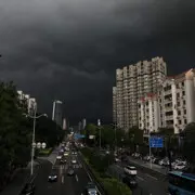隋唐而栖