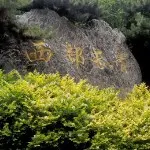.唯我九哥..