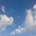 浮雲游子意