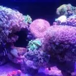 孤独一人漂流