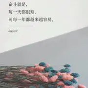 CEO小马哥