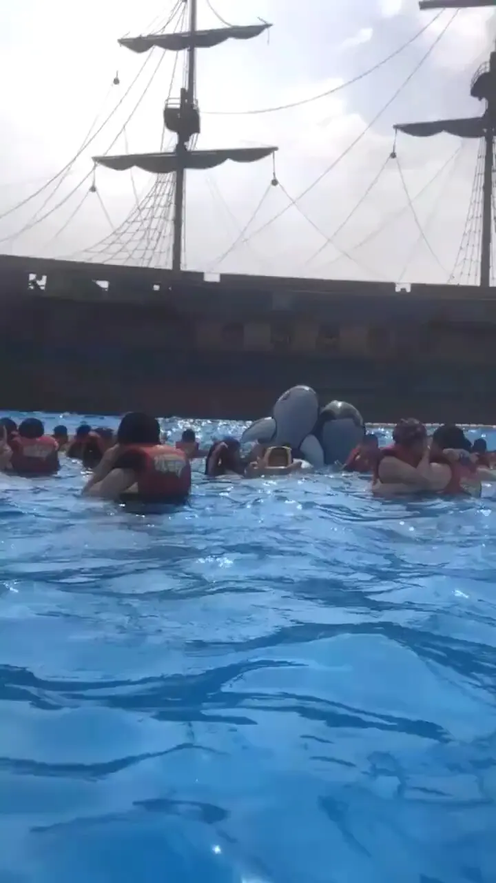 仔细听我闺蜜的猪叫声