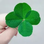 風_べ儿の微笑