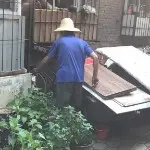 觉智g