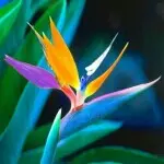 ☆东☆北☆人☆