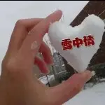 静静滴欣赏💘瞎溜达