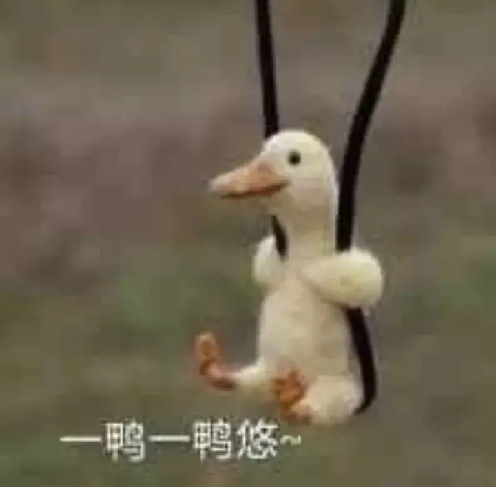 零零在学校隔离中😢的主播照片