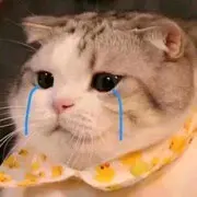 jgdttj2568