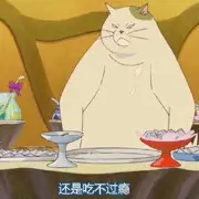 傲娇的胖胖猫