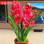 💕爱你💕开心💕