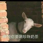 开心♛色色的主播照片
