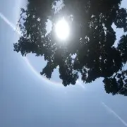 优秀哥灬