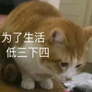 大小萌萌
