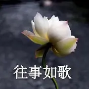 顾鸿运