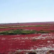 孤独的漫步。。。。