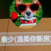 ，叼着奶嘴闯天下