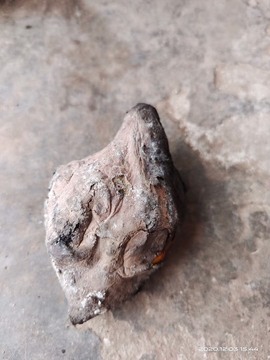 凑美没人爱的图片