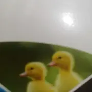 21753766