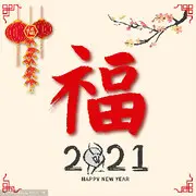 幸运星🌠