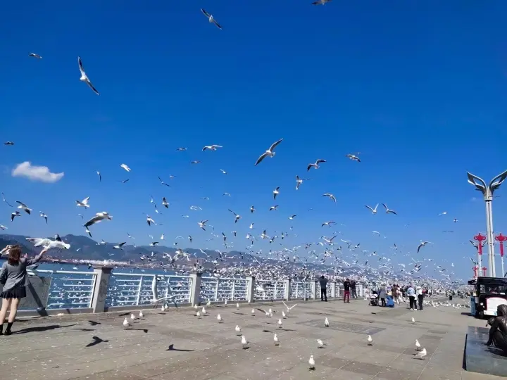 青杉故人♥的主播照片