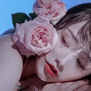 天上掉下个林憨憨