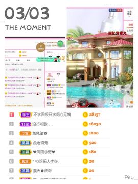 一只雁~的图片