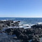 冲动的惩罚，，，