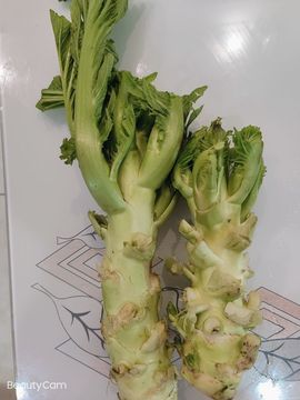 凑美没人爱的图片