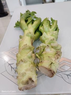凑美没人爱的图片