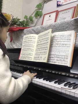 🌻小七（安静唱歌）的图片
