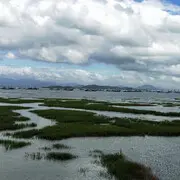风清扬，