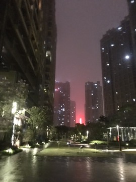 🌻小七（安静唱歌）的图片