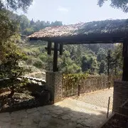 伏天一段