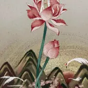 ♣快乐天使♣