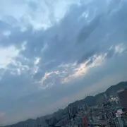 顾洛洛洛洛