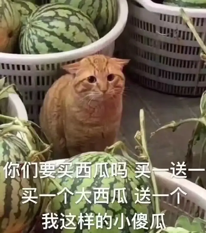 萌萌不圆深夜话聊的主播照片