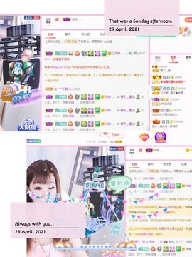 一只雁~的图片