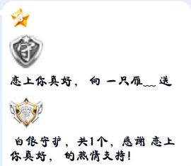一只雁~的图片