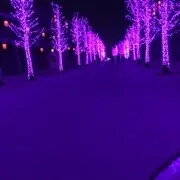 昨日很暖，未来你安好