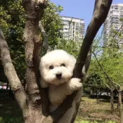 网络😂红尘