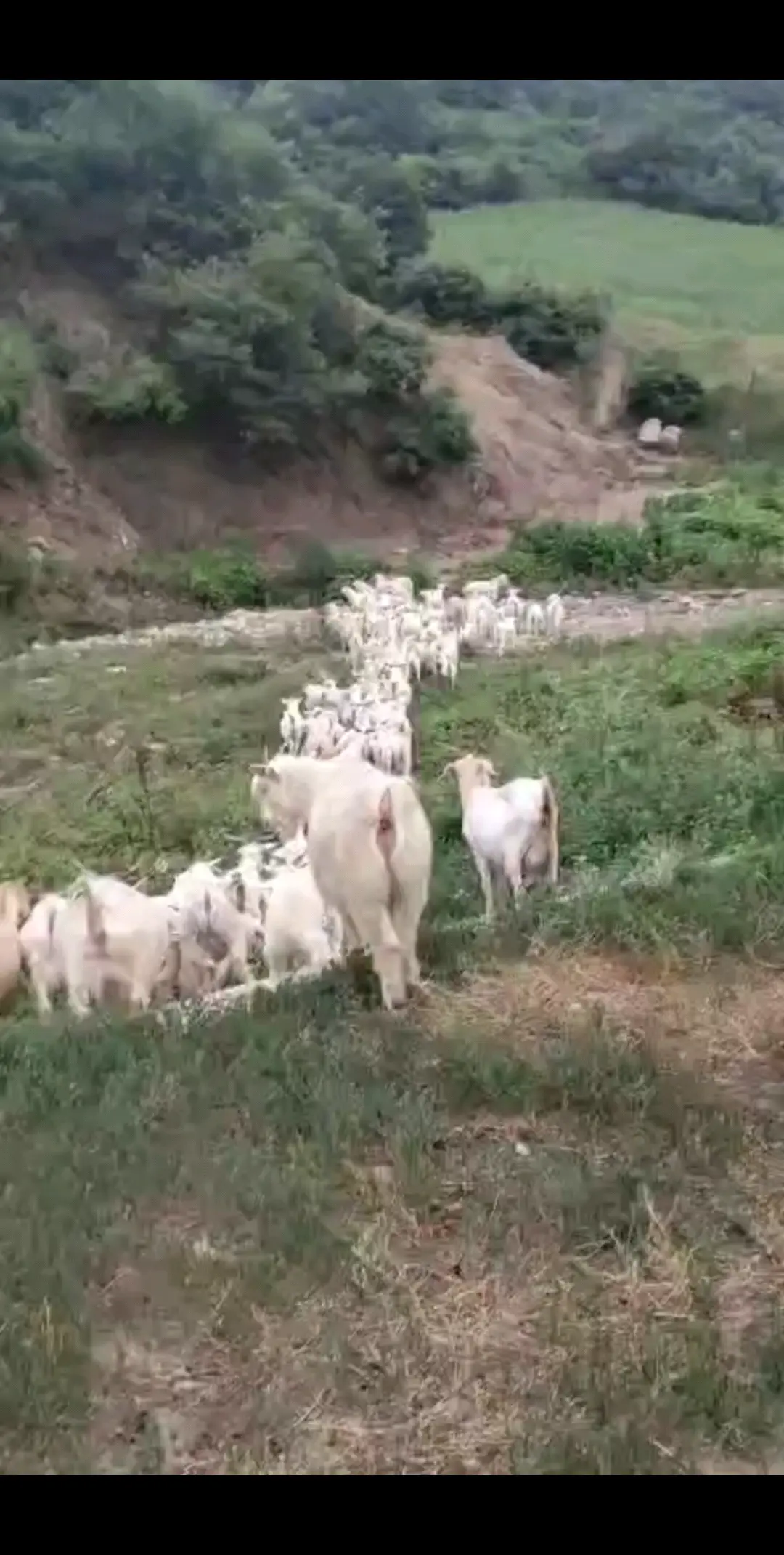 城里套路深，我要回农村哈哈哈