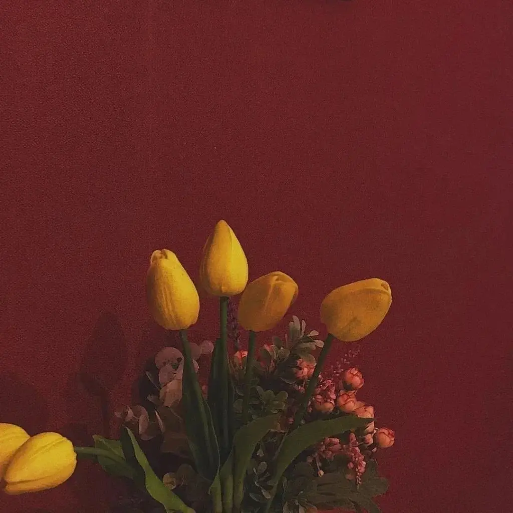 伊乔.主播图片