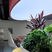 ⭐老姑夫