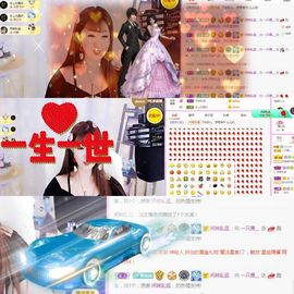 一只雁~的图片