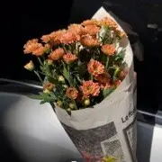 花仙子🧚‍♀️