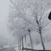 bcdjbdfhj